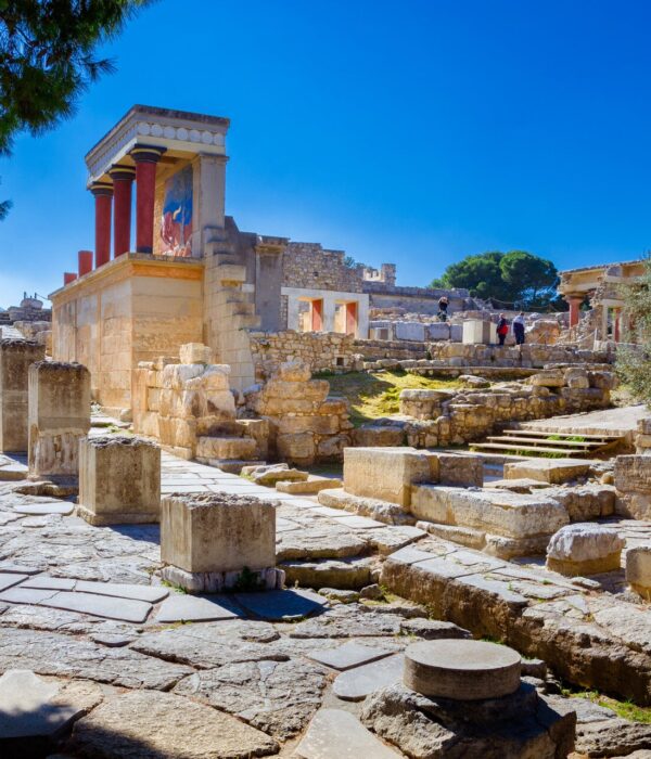 Palace of Knossos Archaeological Museum and Heraklion Town Private Tour Moysidis Travel