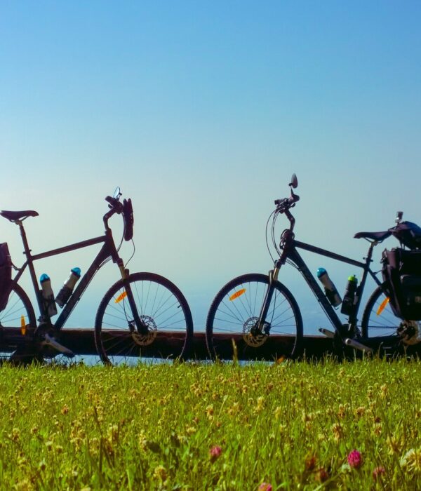 Bicycle rentals in Crete