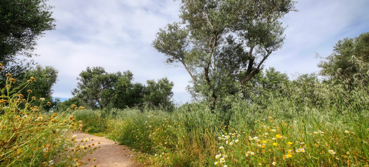 Kydoni Gorge Meskla Hiking in Crete