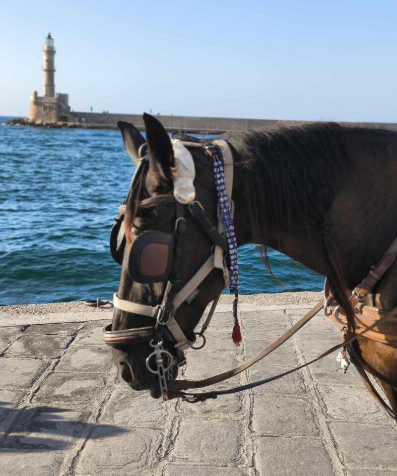 Chania Tour Moysidis Travel