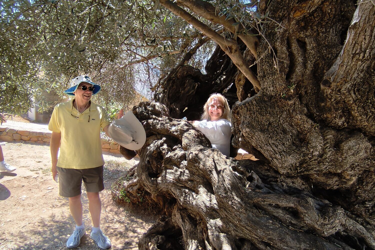 Chania Old Town Tour Moysidis Travel Private Tours