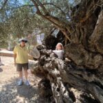 Chania Old Town Tour Moysidis Travel Private Tours