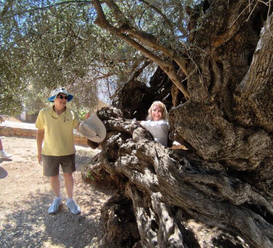 Chania Old Town Tour Moysidis Travel Private Tours