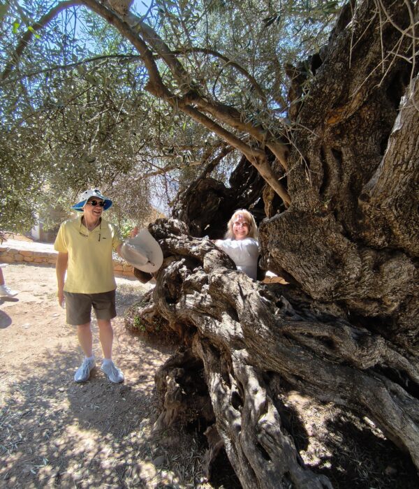 Chania Old Town Tour Moysidis Travel Private Tours