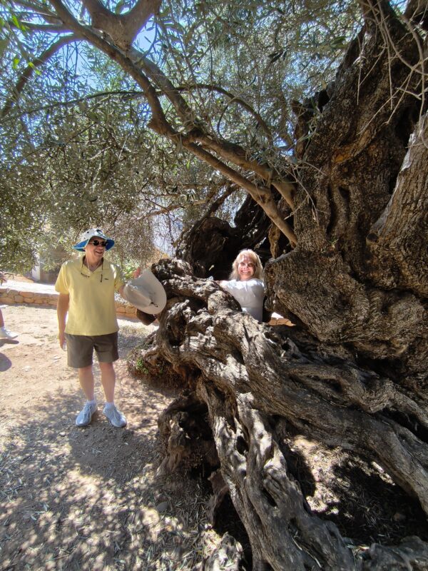 Chania Old Town Tour Moysidis Travel Private Tours