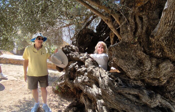 Chania Old Town Tour Moysidis Travel Private Tours