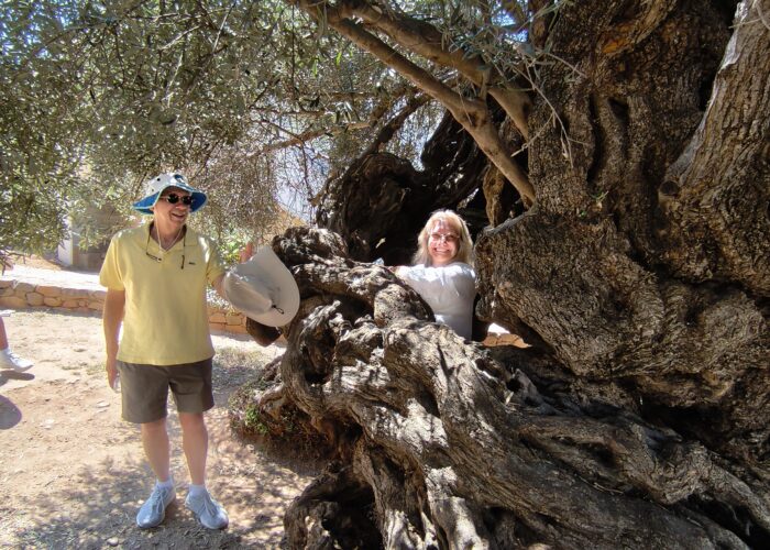 Chania Old Town Tour Moysidis Travel Private Tours